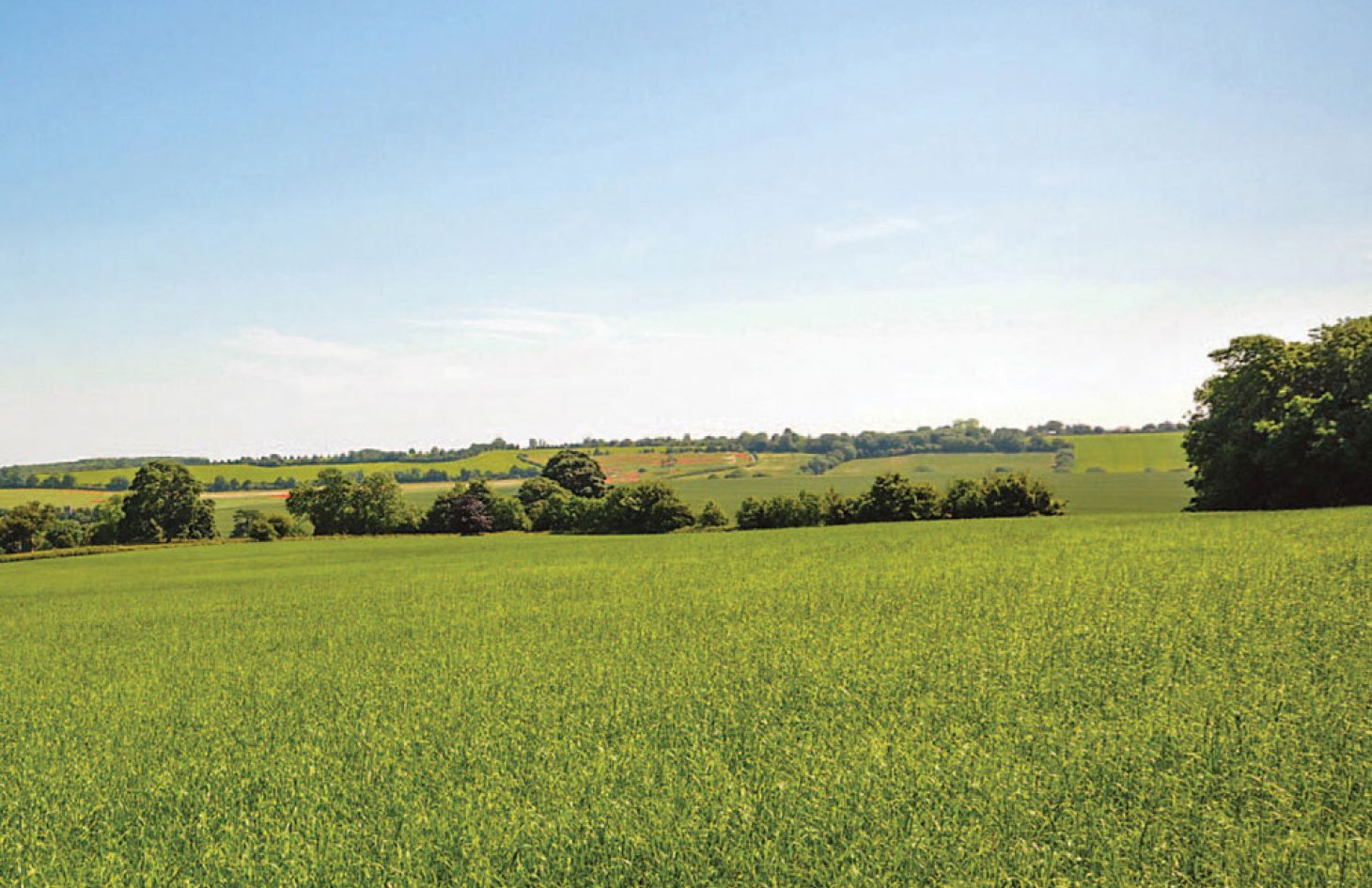 20 Acres with Stunning Views